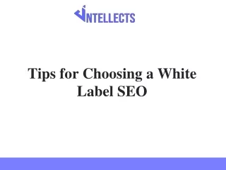 tips for choosing a white label seo