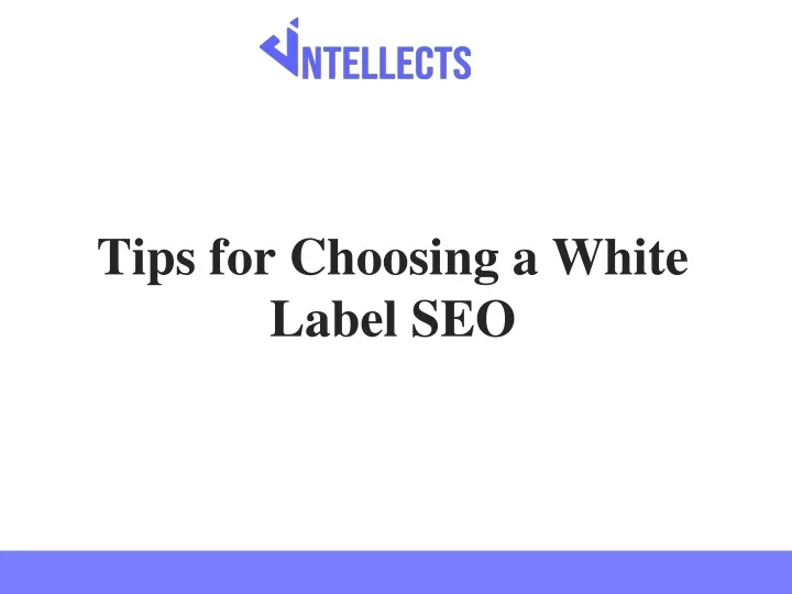 tips for choosing a white label seo