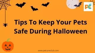 Tips To Keep Your Pets Safe During Halloween