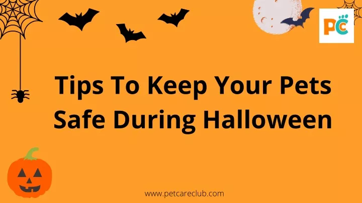 tips to keep your pets safe during halloween