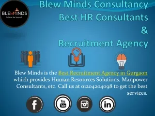 Blew Minds  - Best HR Consultants and Recruitment Agency