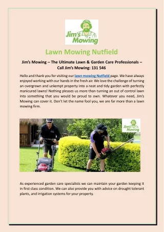 Top Lawn Mowing Nutfield