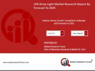 LED Grow Light Market- Corporate Financial Plan, Business Competitors