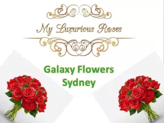 Galaxy flowers sydney