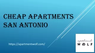 Apartment Wolf