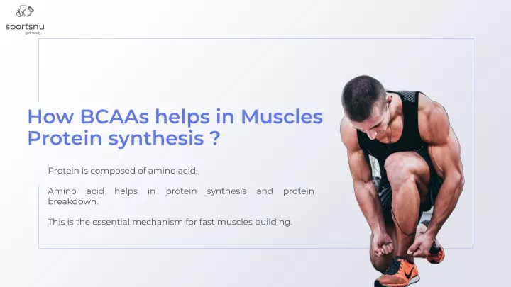 how bcaas helps in muscles protein synthesis