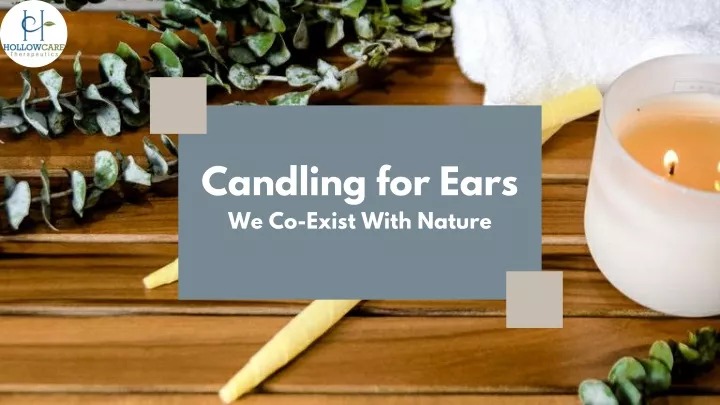 candling for ears we co exist with nature