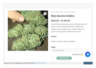 Buy Aurora Indica Online