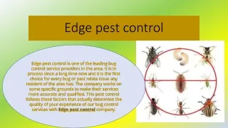 edge pest control