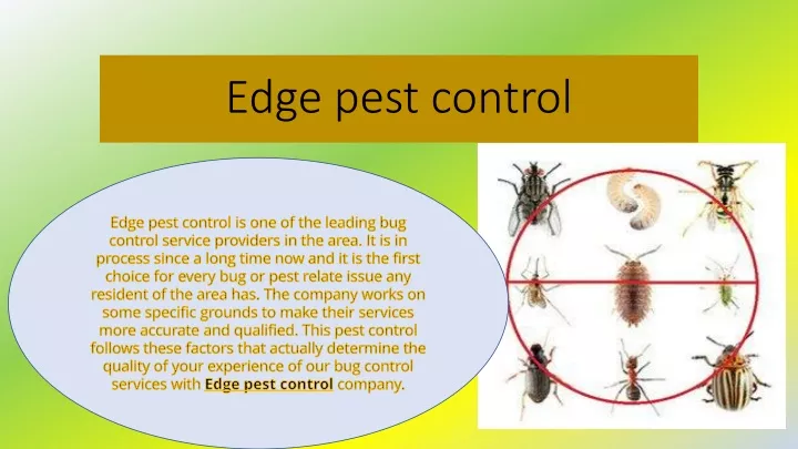 edge pest control