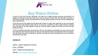 buy plaice online