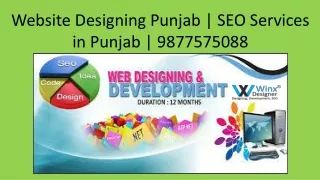 website designing punjab seo services in punjab