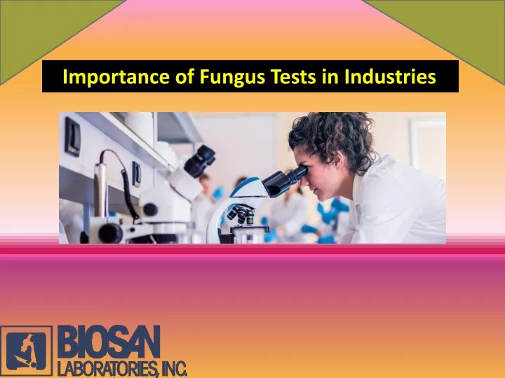 importance of fungus tests in industries