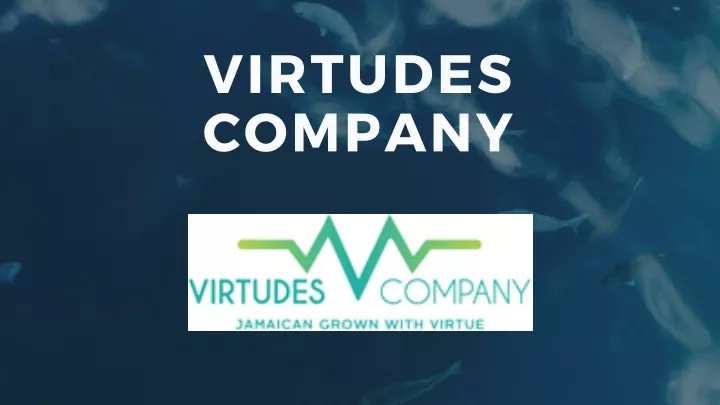 virtudes company