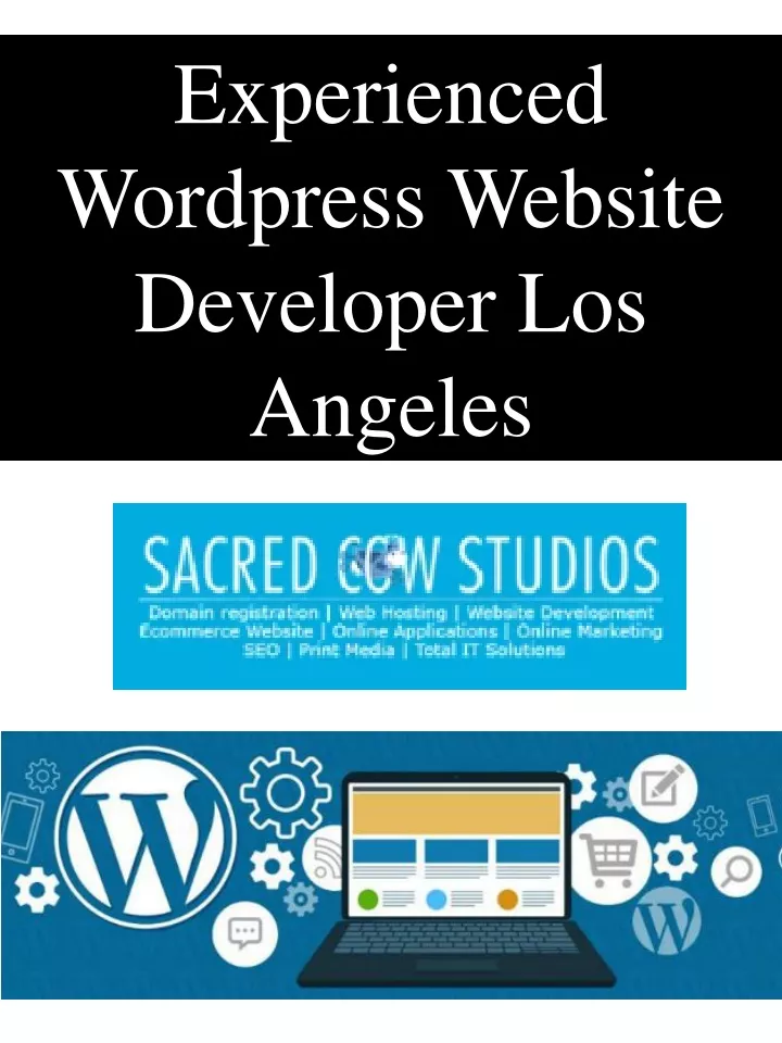 experienced wordpress website developer los angeles