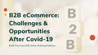 b2b ecommerce challenges opportunities after