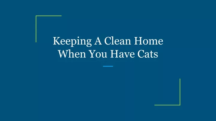 keeping a clean home when you have cats