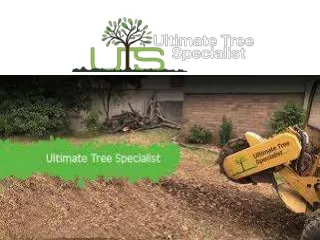 Ultimate Tree Specialist - Tree Removal Services in Sydney