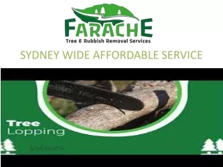 Farache - Tree Removal Services Sydney