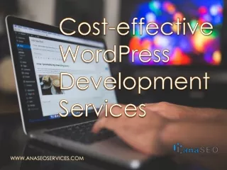cost effective wordpress development services