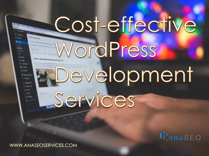 cost effective wordpress development services