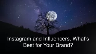 instagram and influencers what s best for your