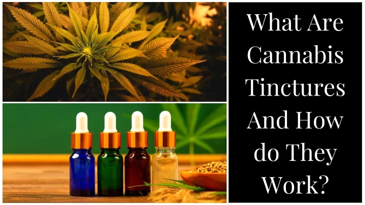 what are cannabis tinctures and how do they work