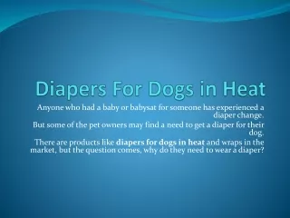 Diapers For Dog in Heat