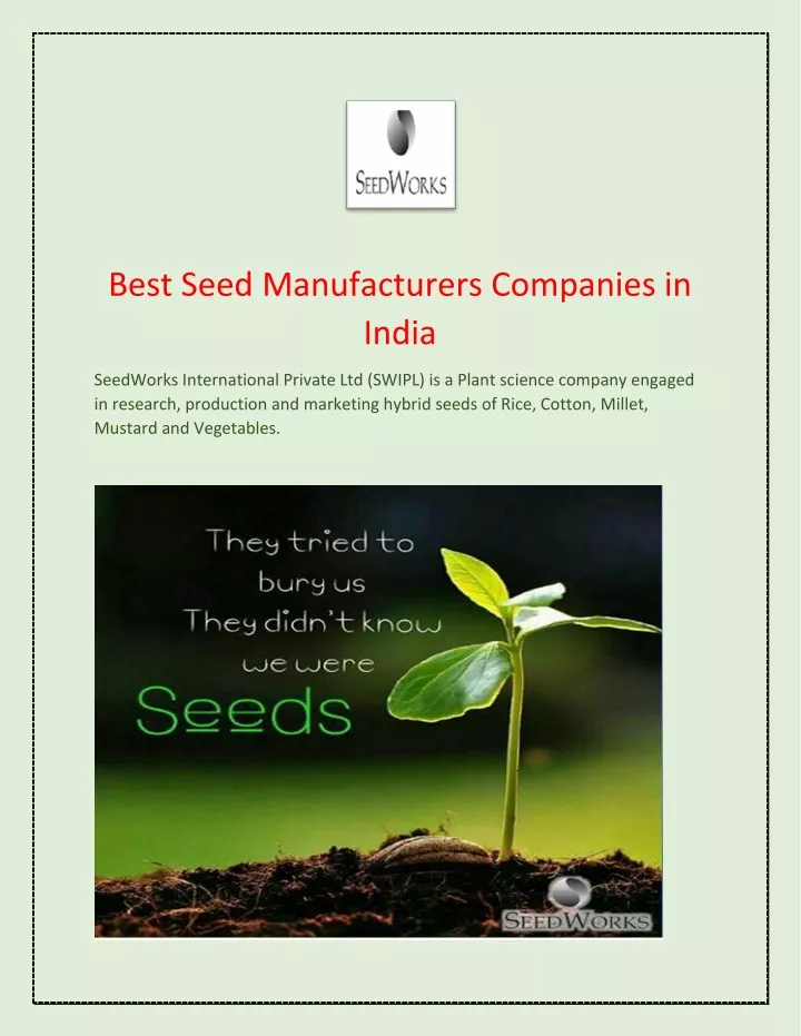 best seed manufacturers companies in india