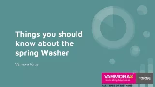 Things You Should Know about Spring Washer Manufacturer