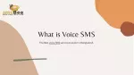 Voice SMS BD | API SMS BD | Location Base SMS BD