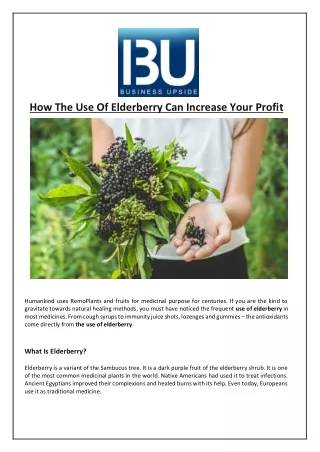 how the use of elderberry can increase your profit