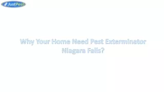 Why Your Home Need Pest Exterminator Niagara Falls