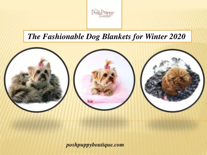 the fashionable dog blankets for winter 2020