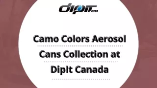 Camo Colors Aerosol Cans Collection at DipIt Canada