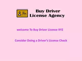 Consider Doing a Driver’s License Check