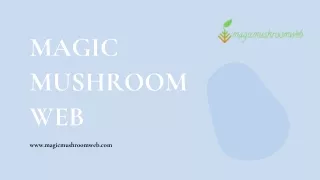 Buy Golden Teacher Mushrooms Online from Magic Mushroom Web