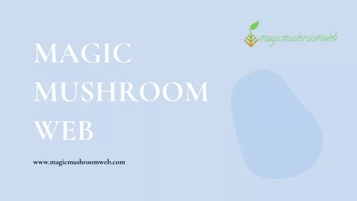 magic mushroom web