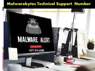 Avail Benefit of Malwarebytes Customer Support Phone Number