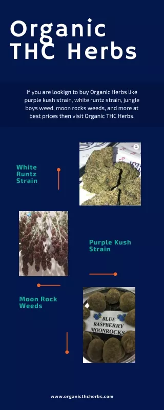 Buy Purple Kush Online from Organic THC Herbs