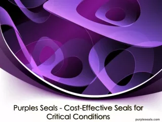 Purples Seals - Cost-Effective Seals for Critical Conditions