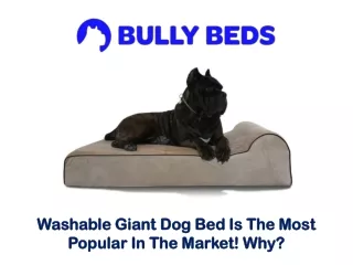 Washable Giant Dog Bed Is The Most Popular In The Market! Why?