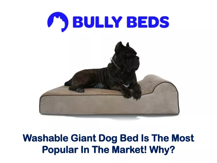 washable giant dog bed is the most popular