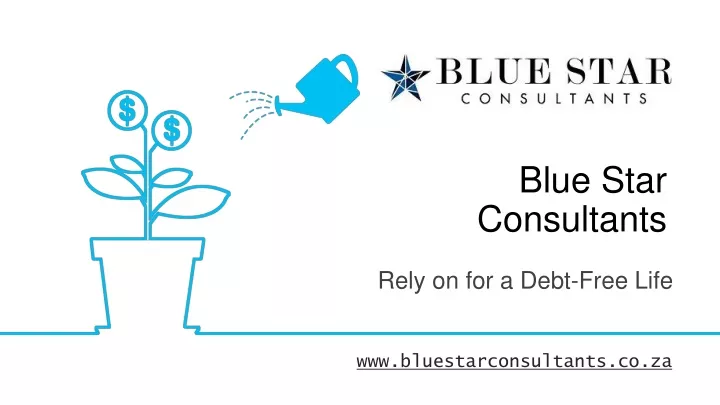 blue star consultants