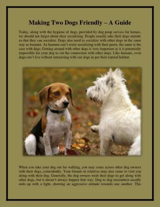 making two dogs friendly a guide