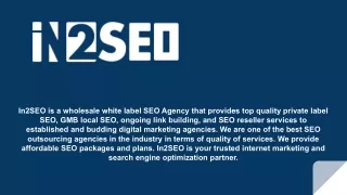 in2seo is a wholesale white label seo agency that