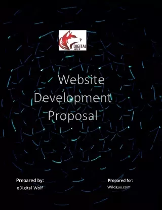 web design proposal  template