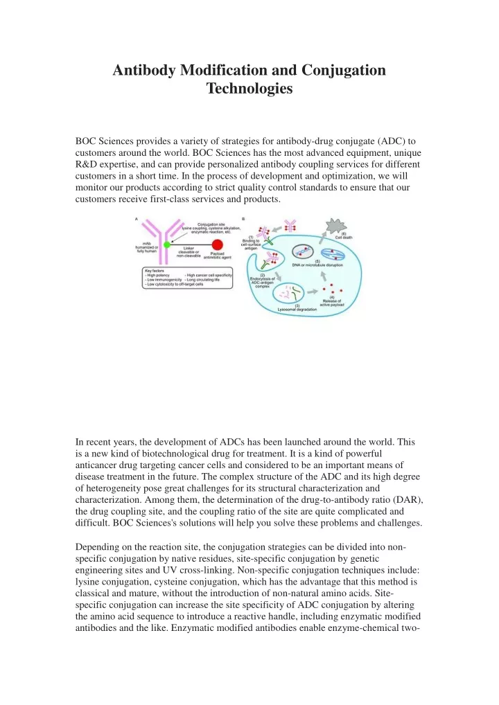 antibody modification and conjugation technologies