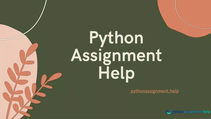 python assignm ent help
