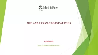 Can dogs eat eggs